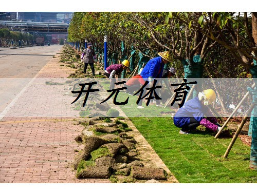 辉市政绿化种植土单价