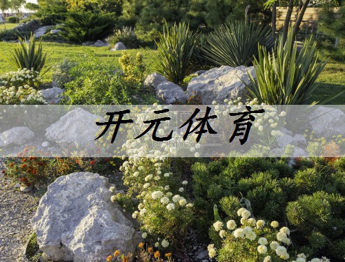 资阳城市园林绿化管理