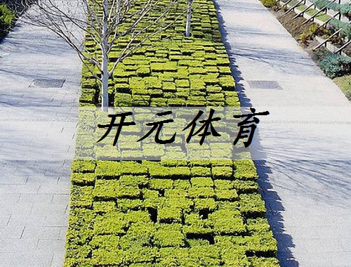 白城市政绿化工程是什么工作