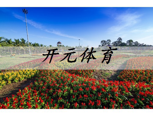 潞西绿化苗木花卉市场在哪里