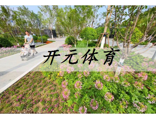 湘潭城市绿化带种植什么植物比较好