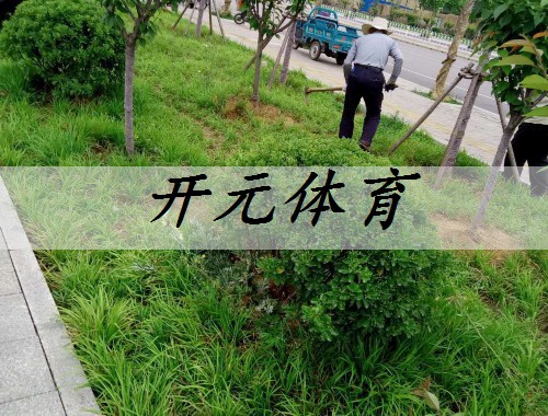 丹江口市政绿化工程报价清单表格