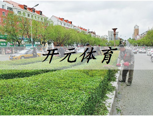 涿州城市道路绿化养护成本