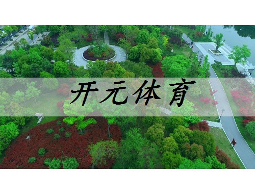 浦东新市政道路绿化
