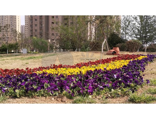 济源园林绿化有限公司是国资委