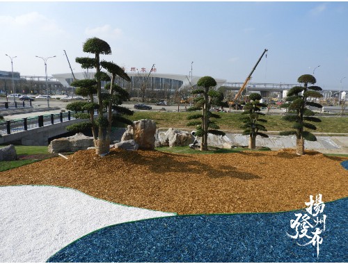 泰顺城市绿化项目招标