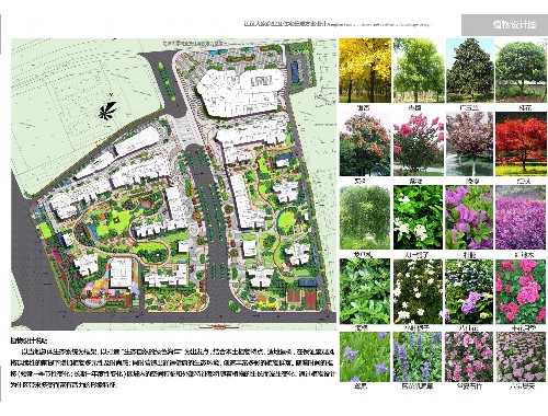 洪湖市政绿化工程是什么工作
