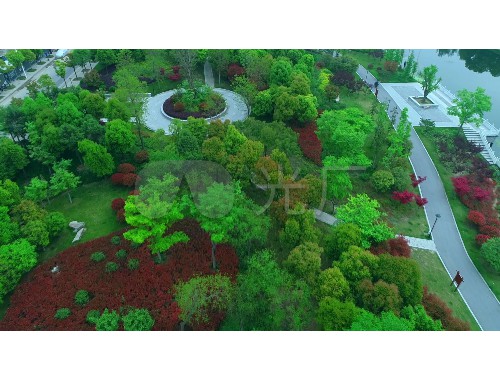泰安城市绿化条例